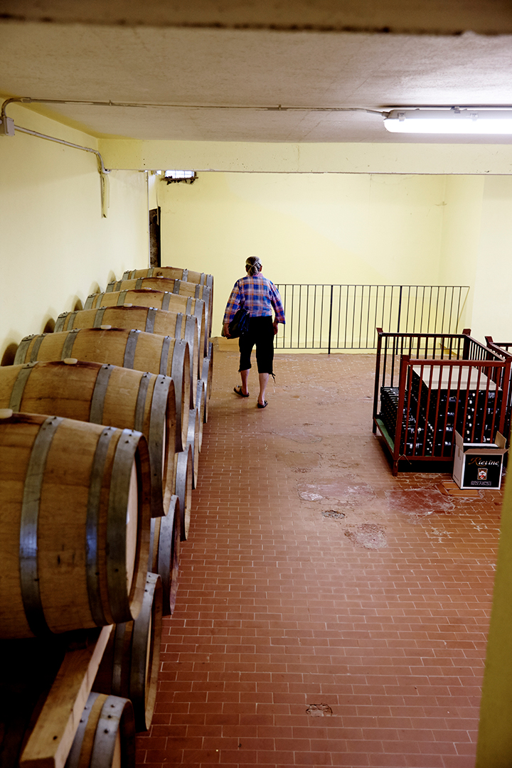 Vino Rietine
